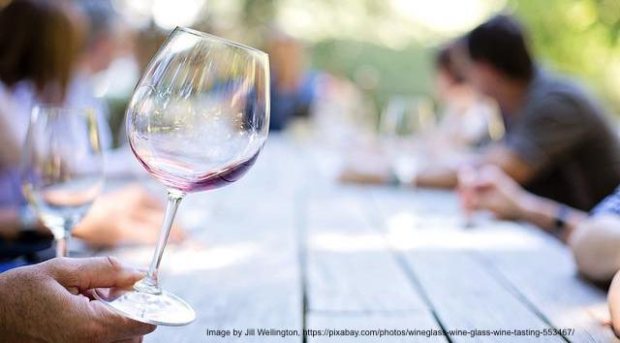 Image by Jill Wellington, https://pixabay.com/photos/wineglass-wine-glass-wine-tasting-553467/